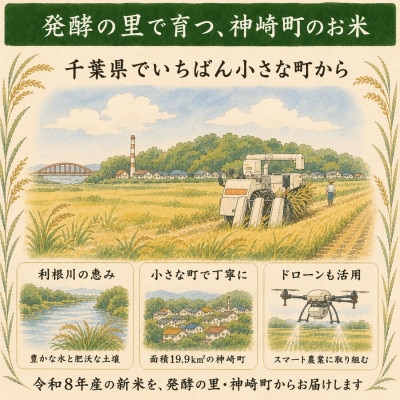 【新米先行予約】令和8年産 ふさおとめ 10kg(5kg×2袋) 千葉県神崎町産 白米 9月上旬発送