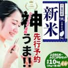 《先行予約・令和7年産 新米》千葉県神崎町産 ふさおとめ&ふさこがね食べ比べセット 5kg×各1袋