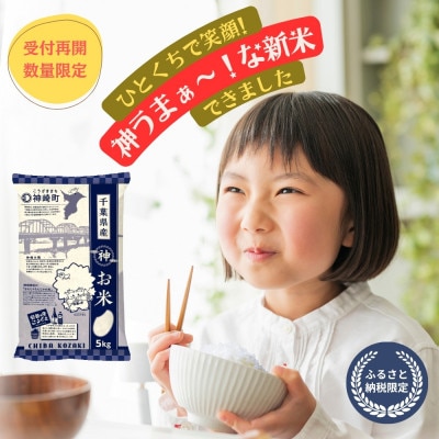 《 1月発送予定・令和7年産 新米 》千葉県神崎町産 ふさおとめ・精米 10kg(5kg×2袋)