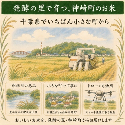 【毎月定期便】ふさこがね 白米 千葉県神崎町産 冷めてもおいしい 毎月10kg×全6回