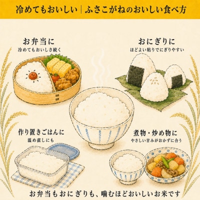 【毎月定期便】ふさこがね 白米 千葉県神崎町産 冷めてもおいしい 毎月20kg×全3回