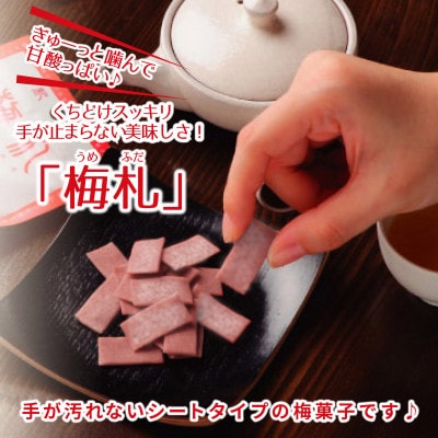 紀州梅札 14g×30袋 梅づくり100年「紀州ほそ川」の梅お菓子