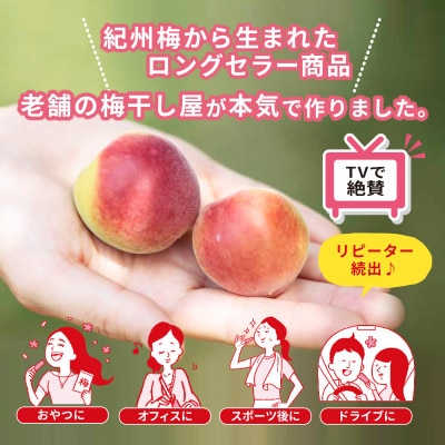 紀州梅札 14g×30袋 梅づくり100年「紀州ほそ川」の梅お菓子