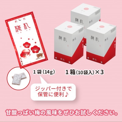 紀州梅札 14g×30袋 梅づくり100年「紀州ほそ川」の梅お菓子