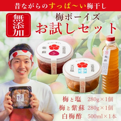【無添加梅干しお試し】天日塩漬け・紫蘇漬け 各280g×1パック、白梅酢1本　梅ボーイズ