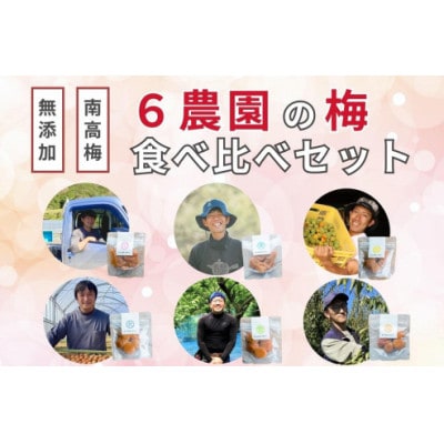 【無添加梅干し】6農家さんの梅干し食べ比べセット　梅ボーイズ|南高梅 A-067
