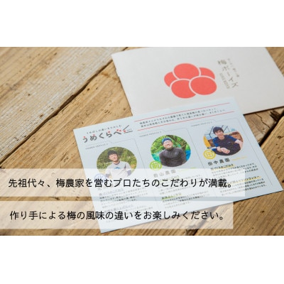 【無添加梅干し】6農家さんの梅干し食べ比べセット　梅ボーイズ|南高梅 A-067