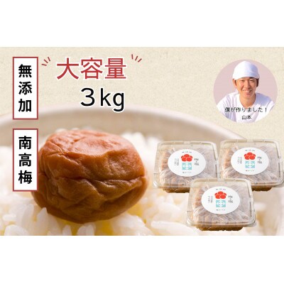 常温保管可能 】天日塩だけで漬けた無添加梅干し3kg|南高梅 C202 | お