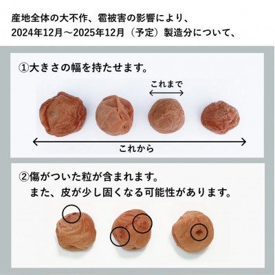 【常温保管可能】天日塩だけで漬けた無添加梅干し3kg　梅ボーイズ|南高梅