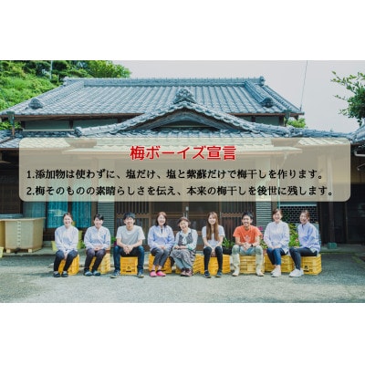 【のし付き】常温保管可能|天日塩だけで漬けた無添加梅干し3kg　梅ボーイズ
