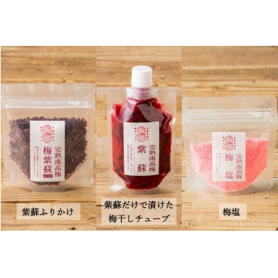 【人気の梅干し詰め合わせ】身体を想う無添加セット 紀州南高梅 梅ボーイズ