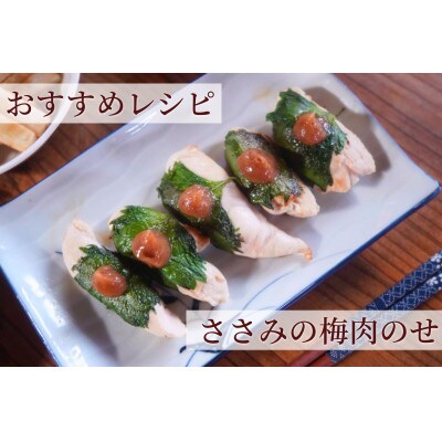 【梅ボーイズ】無添加 紀州南高梅の梅チューブ6本セット(塩・紫蘇)天日塩使用