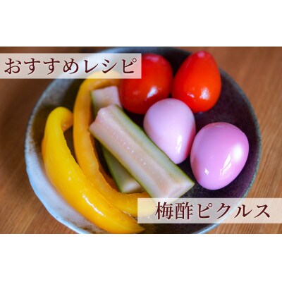 【梅ボーイズ】無添加 紀州南高梅の梅酢4本セット(白・紫蘇)天日塩使用