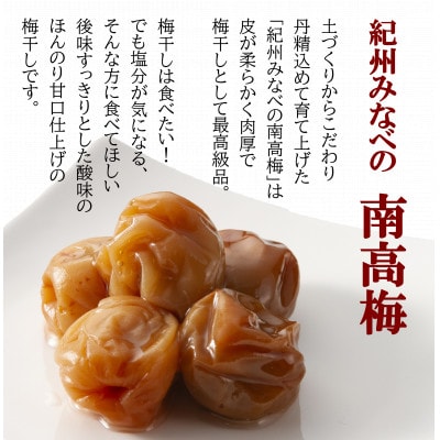 食塩不使用　塩零梅(えんれいばい)600g