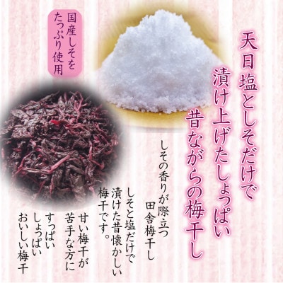 【紀州南高梅】しそ田舎梅干 550g