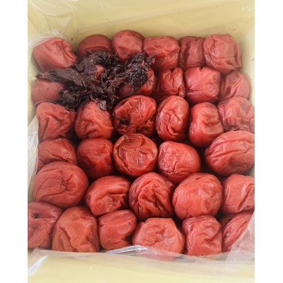 てっちゃんのしそ漬け梅干し　1kg