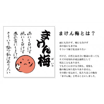 まけん梅(R) はちみつ漬 蜜宝梅 2kg(500g×4) 塩分約5% 紀州南高梅 ご家庭用 梅干し