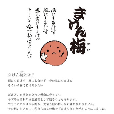 まけん梅(R) はちみつ漬 蜜宝梅 1kg(500g×2) 塩分約5% 紀州南高梅 ご家庭用 梅干し