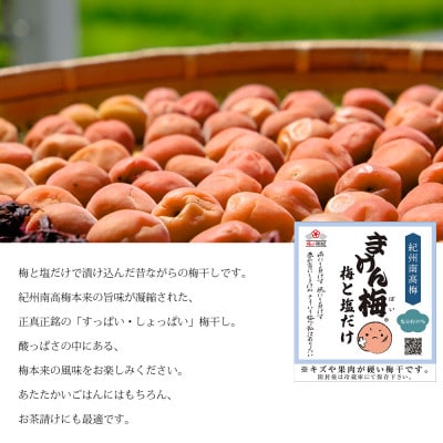 まけん梅 梅と塩だけ 1kg(500g×2) 塩分約19% 紀州南高梅  梅干し ご家庭用