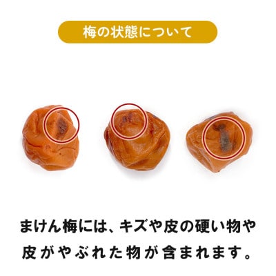 まけん梅 梅と塩だけ 1kg(500g×2) 塩分約19% 紀州南高梅  梅干し ご家庭用