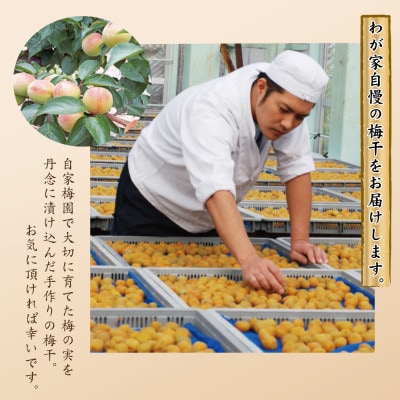 特選紀州紀州南高梅・大粒梅干「白龍梅」 ご飯によく合う梅干し・1kg(和歌山みなべ産)