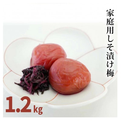 【家庭用訳あり】みなべの梅(しそ漬け)1.2kg(600g×2パック入)