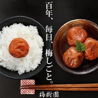 【家庭用訳あり】みなべの梅(しそ漬け)1.4kg(700g×2パック入)
