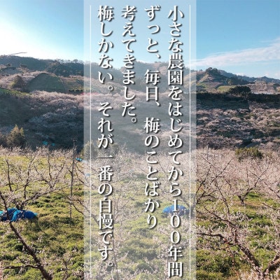 種なし干し梅60g×6袋(はちみつ入) 紀州南高梅 和歌山県産
