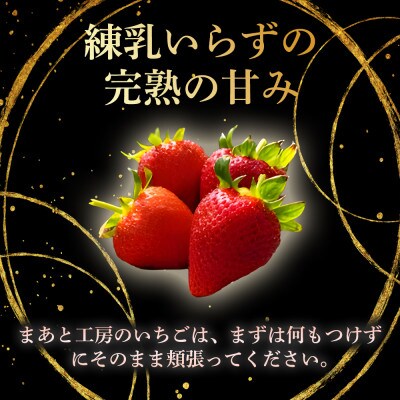 【まあと工房でしか味わえない】いちごの食べ比べ いちご狩り体験チケット ( 5名様分)  1枚