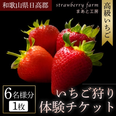 【まあと工房でしか味わえない】いちごの食べ比べ いちご狩り体験チケット ( 6名様分)  1枚