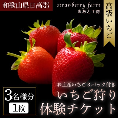 【まあと工房でしか味わえない】いちご狩り体験チケット ( 3名様分) +お土産いちご3パック付き