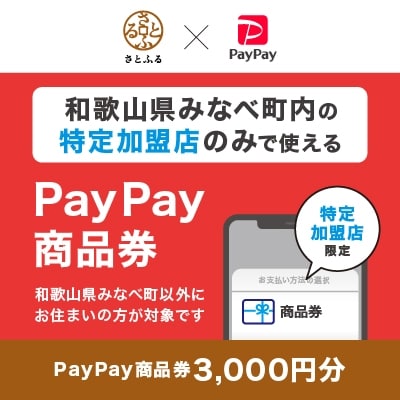 和歌山県みなべ町　PayPay商品券(3,000円分)※地域内の一部の加盟店のみで利用可