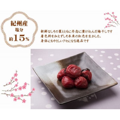 紀州南高梅しそ塩分約15%　500g