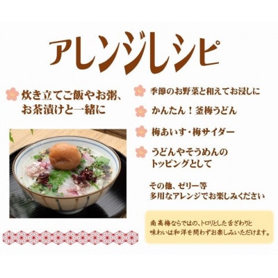 紀州南高梅しそ塩分約15%　500g