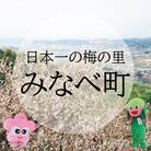 【返礼品なし】和歌山県みなべ町への寄附　応援支援　寄附のみ　