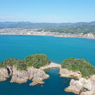 【返礼品なし】和歌山県みなべ町への寄附　応援支援　寄附のみ　