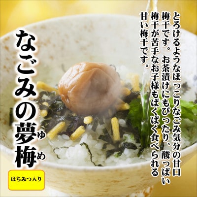 紀州南高梅　なごみの夢梅　1100g　家庭用(B級、C級)