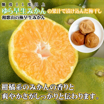 みかんこい梅　100g×5個