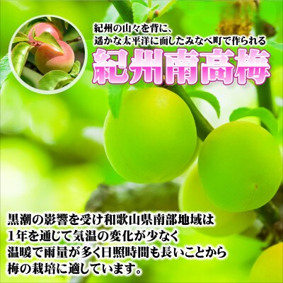 みかんこい梅　100g×5個