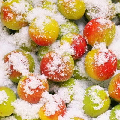 贈答用　木箱入り梅干し　薬師梅　450g