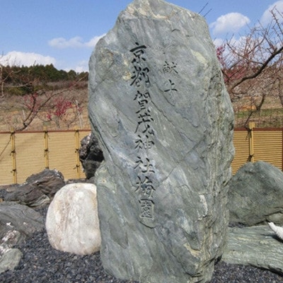 和歌山県産　薬師梅(塩分約15%)　1kg