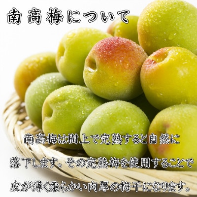 紀州薬師梅　『風』うすしお味(塩分約8%)　1kg