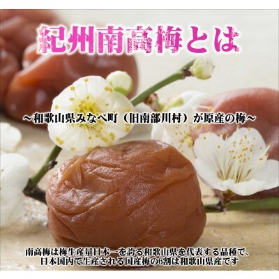 紀州南高梅　永遠～とわ～　1100g　家庭用(B級、C級)