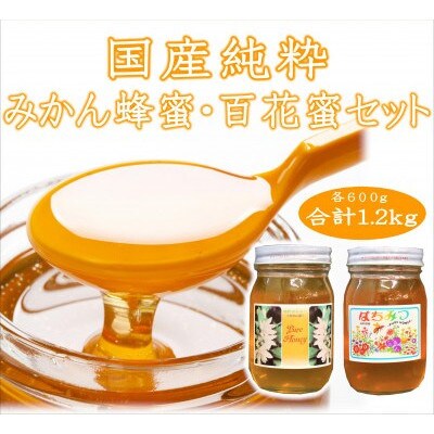 紀州のみかん蜜と百花蜜セット