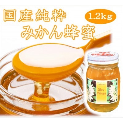 紀州のみかん蜜セット
