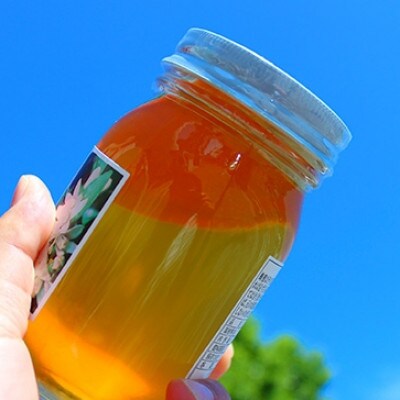紀州のみかん蜜セット