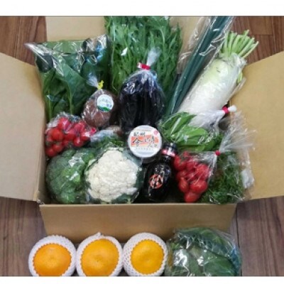 季節の野菜・果物・特産品お楽しみ詰め合わせセット【2】