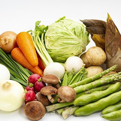季節の野菜・果物・特産品お楽しみ詰め合わせセット【2】