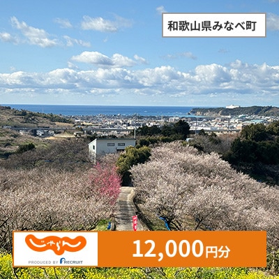 【じゃらんふるさと納税クーポン】 和歌山県みなべ町でつかえる12,000円 クーポン