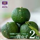 【ふるさと納税】乳酸菌とカテキンで育成したこだわりの青ゆず2kg※8月中旬より発送開始